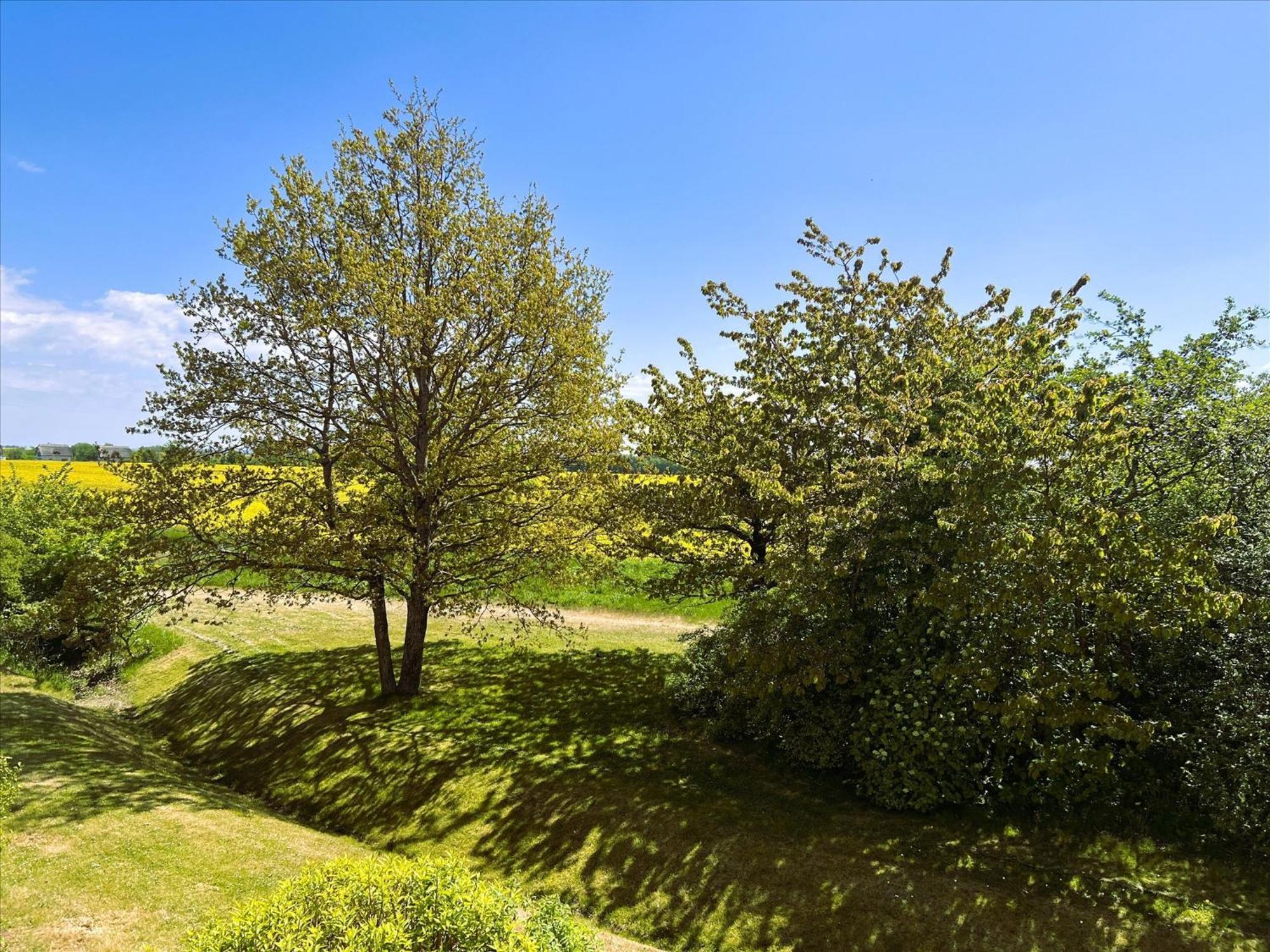 Feriendorf Rugana - Klassik Appartement Mit 1 Schlafzimmer D44 Dranske Eksteriør bilde